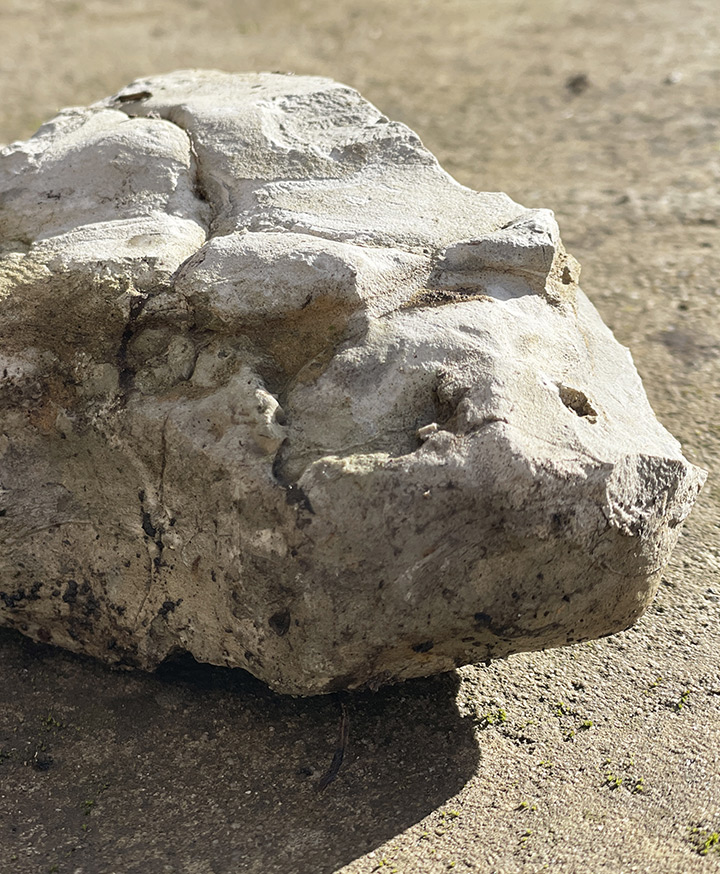 denk.mal19 ... die WELT braucht unseren Wandel... Denkmal Soziale Kunst - Landschaftsgebundenes Bauen